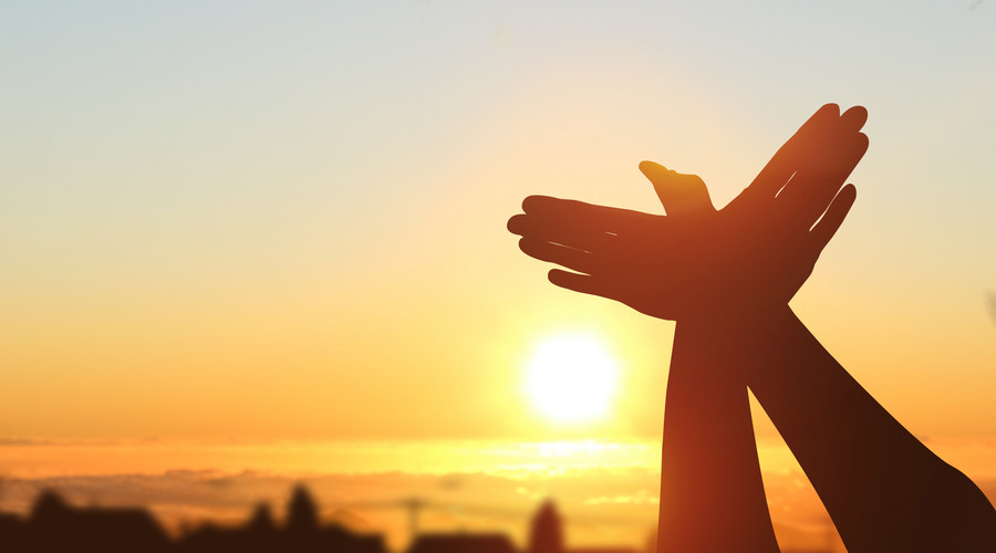 500505356_wx.jpg 500505356_wx.jpg